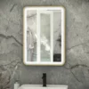 RAK Ceramics Picture Soft 500 X 700mm LED Mirror - Brushed Gold - RAKPICSFBG5001